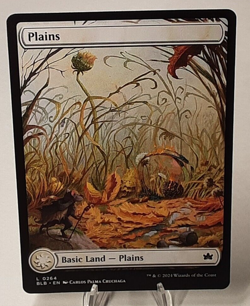 MTG - Bloomburrow - Plains - Full Art - #0264 - Playset x4 - Near Mint - Image 1