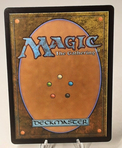 MTG - Bloomburrow - Plains - Full Art - #0264 - Playset x4 - Near Mint - Image 3