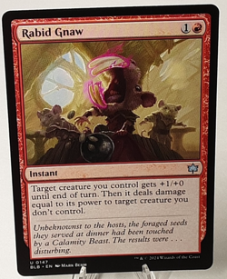 MTG - Bloomburrow - Rabid Gnaw - #0147 - Playset x4 - Near Mint - Image 1