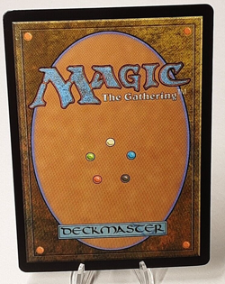 MTG - Bloomburrow - Scales of Shale - Foil - #0110 - Playset x4 - Near Mint - Image 3