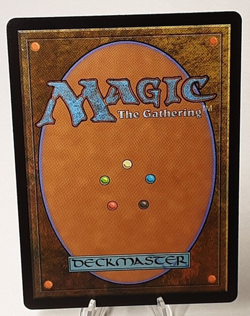 MTG - Bloomburrow - Seasoned Warrenguard - Foil - #0030 - Playset x4 - Near Mint - Image 3