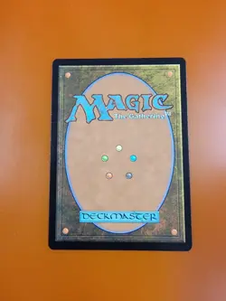 1x Othelm, Sigardian Outcast | Secret Lair | MTG Magic Cards - Image 4