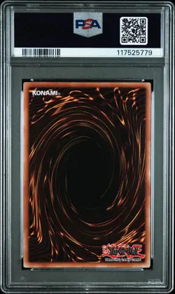 Dragon of Illumination Sanctuary's Shield Yugioh 2025 English #EN004 PSA 10 - Image 2