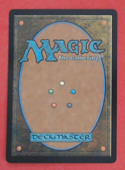 MTG Singles - Rundvelt Hordemaster - Dominaria United -E61 - Image 2