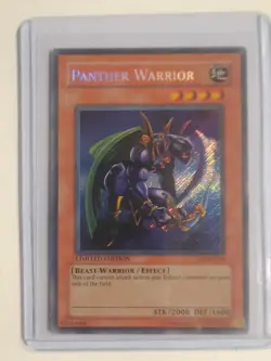 Panther Warrior CT2-EN006 2005 Collectors Tin Limited Edition - Image 1