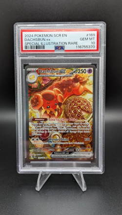 PSA 10 2024 POKEMON SCR EN-STELLAR CROWN SPECIAL ILLUSTRATION RARE DACHSBUN EX - Image 1