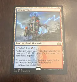 MTG Magic the Gathering Steam Vents (257/291) Guilds of Ravnica NM/M - Image 1