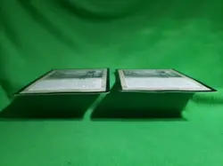 MTG Oversized 6x9 Promo - Enduring Renewal X2 - Image 4