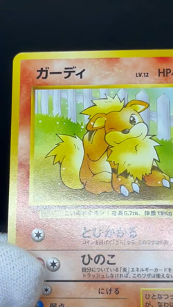 LP++) Growlithe Arcanine 058 059 Intro Pack Squirtle Deck Japanese Pokemon Card - Image 2