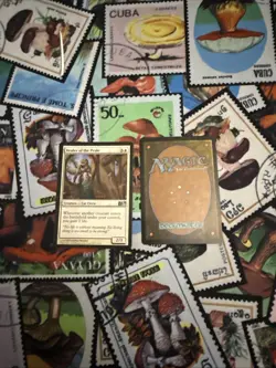 Healer of the Pride - Magic 2013 (M13) #19/249 MTG Magic The Gathering - Image 2