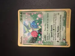 5 Holo Pokemon Cards 2003-2006, Celebi, Roselia, Lapras, Mudkip, Poochyena - Image 5