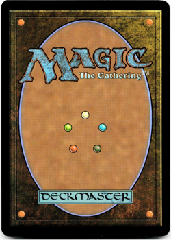 Swamp (191) (Full Art, FOIL) - [Marvel's Spider-Man] MTG NM/M 💀 - Image 2