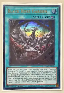Yugioh! 1x Black Rose Garden DOOD-EN055 Ultra Rare 1st Ed NM - Image 1