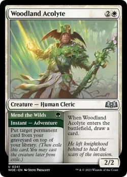 Woodland Acolyte - Near Mint MTG Wilds of Eldraine - Image 1