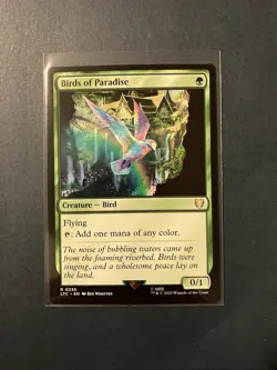 MTG Birds of Paradise #235 The Lord of the Rings: Tales of Middle-earth NM - Image 1
