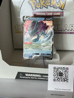 Suicune V 031/203 - Pokemon TCG Evolving Skies (2021) Holo Ultra Rare 🔥 - Image 5