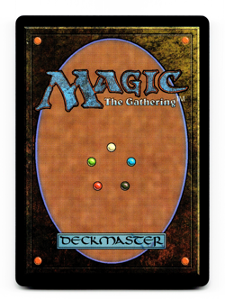 The Spot, Living Portal (Borderless) - [Marvel's Spider-Man] MTG NM/M ⚪💀 - Image 2