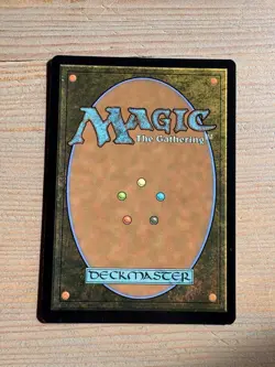 Forest, Basic Land - 193 - MTG: Marvel’s Spider-Man: Eternal - Common - FOIL - Image 2