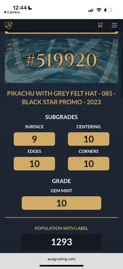 ACE 10 Pikachu With Grey Felt Hat - Van Gogh Museum Promo Pokemon Card - Not PSA - Image 3