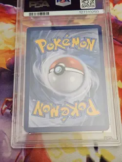 2016 POKEMON XY BLACK STAR PROMO SHINY MEGA GYARADOS #XY143 MAGIKARP-HOLO PSA 8 - Image 3