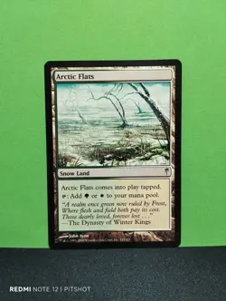 Arctic Flats / Arktisches Flachland - MTG Magic - Image 1