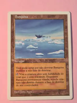 1997 | ICE FLOE | FIFTH EDITION | PORTUGUESE | MTG | TCG | NM #C859 - Image 1