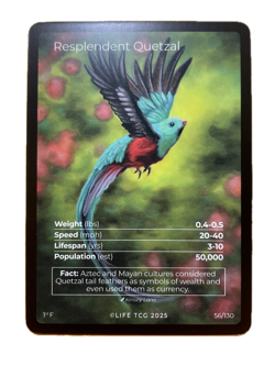 LIFE TCG Birds - Choose Your Card! Holos (25-50) Full Arts (55-65) Rares (3-25) - Image 3