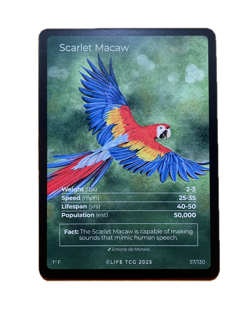 LIFE TCG Birds - Choose Your Card! Holos (25-50) Full Arts (55-65) Rares (3-25) - Image 4