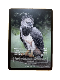 LIFE TCG Birds - Choose Your Card! Holos (25-50) Full Arts (55-65) Rares (3-25) - Image 5