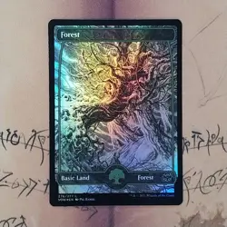 Forest 276/277 VOW Basic Land Foil NM MTG Card English - Image 1