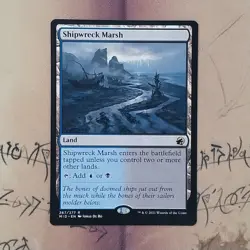 Shipwreck Marsh 267 MID Regular Rare NM MTG Card English - Image 1