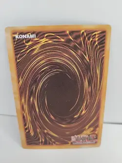 Yu-Gi-Oh! TCG Fake Card Poorly Translated Funny Holo - Dark Paladin - Fusion - Image 2
