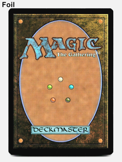 Frenzied Baloth [Edge of Eternities] MTG Magic NM/M 🌳🌳 - Image 2