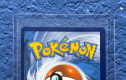 Pokemon Squawkabilly ex 264/193 Paldea Evolved Special Illustration Rare Holo - Image 5