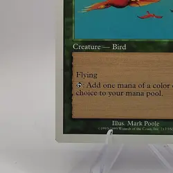 Birds of Paradise Classic MTG Core Set 6th Edition NEAR MINT (Excellent) 217/350 - Image 2