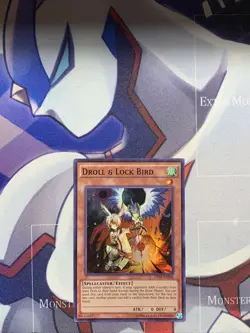 1x Droll & Lock Bird - OP01-EN004 - Super Rare - Unlimited Edition Nm. Yugioh - Image 1