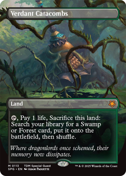 Verdant Catacombs 0113 ~ **Borderless** Mythic NM MTG Tarkir Dragonstorm - Image 1