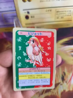 Pokemon Karte Card Topsun blue back 1995 bandai japanese Pidgeot Tauboss NM - Image 2