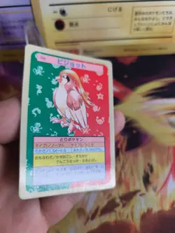 Pokemon Karte Card Topsun blue back 1995 bandai japanese Pidgeot Tauboss NM - Image 4
