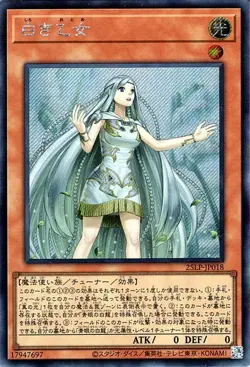 Yugioh 25LP-JP018 Maiden of White Secret Rare Japanese NM - Image 1