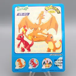 Pokemon Card BIG Sticker Charizard No.02 Nagatanien Vintage EX-VG Japanese P312 - Image 1