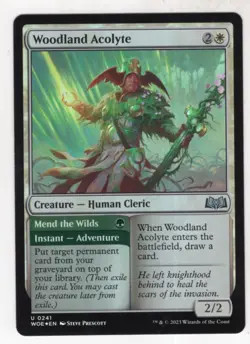 MTG Wilds Of Eldraine Foil Card #241 Woodland Acolyte - Image 1