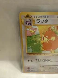 Pokemon Japanese TCG: Southern Islands 1996 Set - Raticate - No. 020 - Never Ply - Image 2