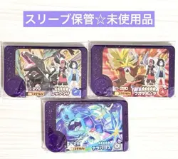 Six Heroes Black Rayquaza Ugatsuhomura Rikoroy Terrapagos Pokemon Frienda - Image 1