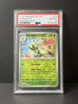 2023 POKEMON PAL EN-PALDEA EVOLVED REVERSE HOLO #013 SPRIGATITO PSA 10 - Image 1