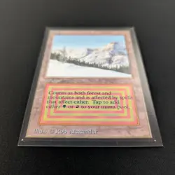 MTG \>> Taiga (NM) <<// Collectors' Edition - 341 Trading - Magic - Image 3