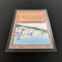 MTG \>> Taiga (NM) <<// Collectors' Edition - 341 Trading - Magic - Image 4