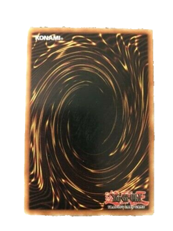 YuGiOh Card Neo The Magic Swordsman - SYE-012 1st Edition - - Image 2