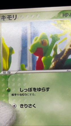 (LP) Treecko 037/PCG-P Yokohama Pokemon Center PROMO Japanese Pokemon card - Image 2