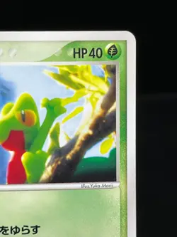 (LP) Treecko 037/PCG-P Yokohama Pokemon Center PROMO Japanese Pokemon card - Image 5